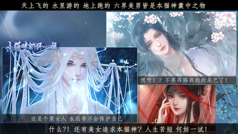 小喵咪的坏心眼 | 卿子爱美男 | 橙光作品