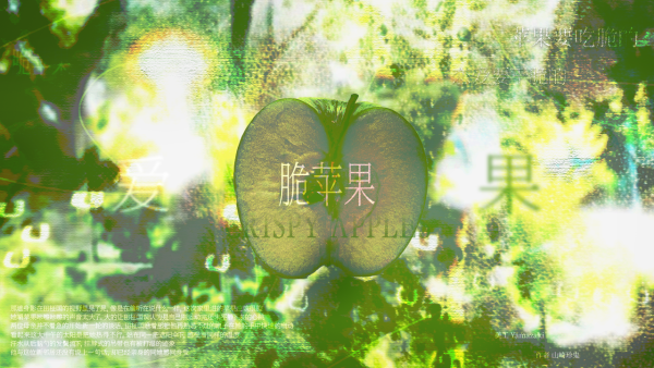 田大佬我阔以 • 精选集