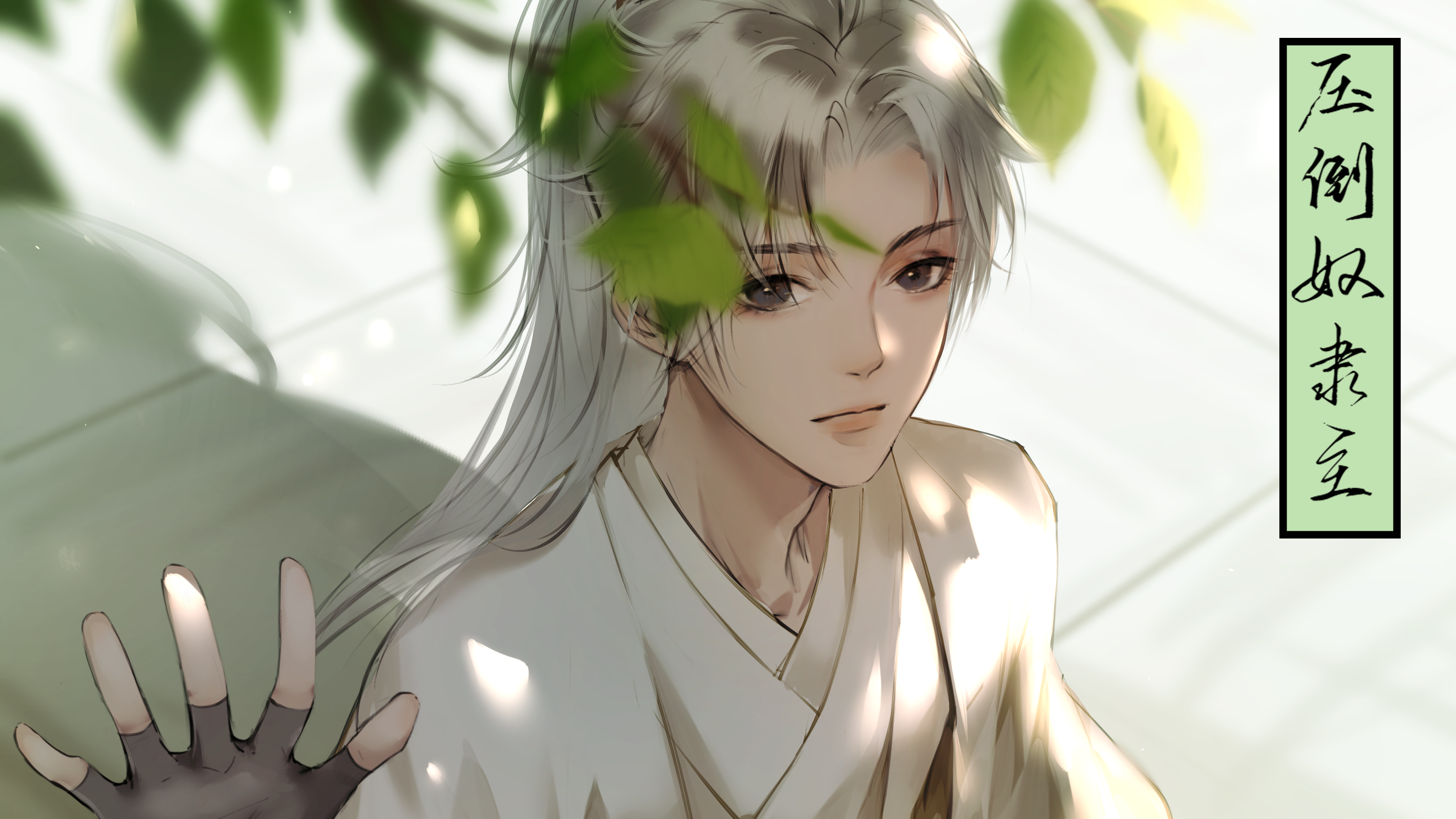 默认精选集 49部作品  偷心的喵 点赞