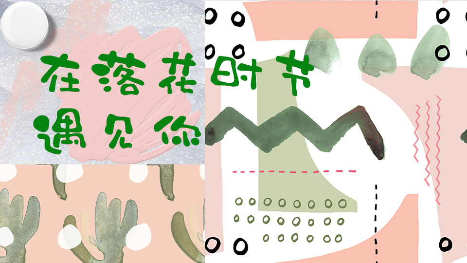 在落花时节遇见你